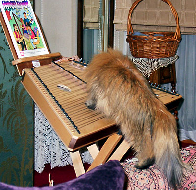 �L, �`���`���E�S�[���f��, ����, ����