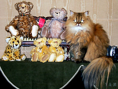 �L, �`���`���E�S�[���f��, ����, ����