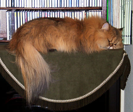 �L, �`���`���E�S�[���f��, ����, ����