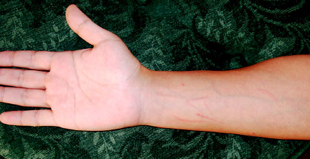 �L, �`���`���E�S�[���f��, ����, ����