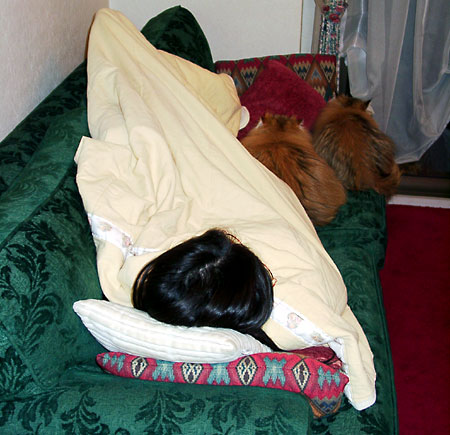 �L, �`���`���E�S�[���f��, ����, ����