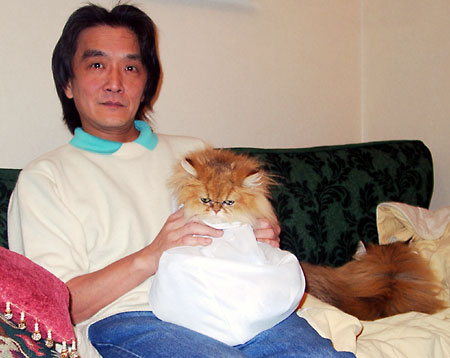 猫, チンチラ・ゴールデン, 来夢, 来喜