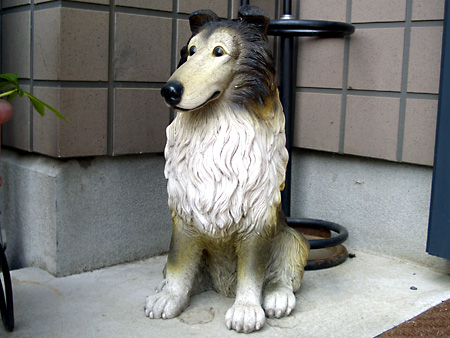 猫、チンチラ・来夢、来喜、ミドリガメ・マックス、コロタン