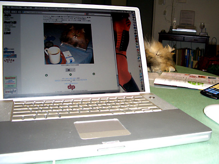 猫、チンチラ・来夢、来喜、ミドリガメ・マックス、コロタン