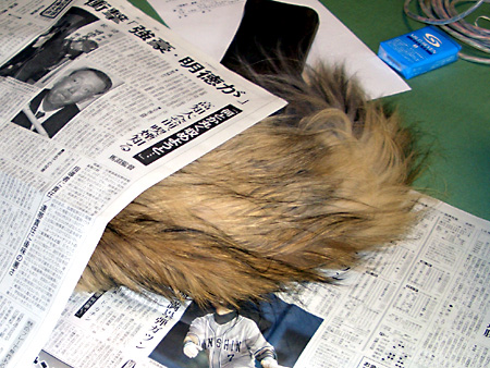 猫、チンチラ・来夢、来喜、ミドリガメ・マックス、コロタン