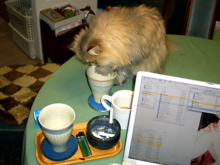 猫、チンチラ・来夢、来喜、ミドリガメ・マックス、コロタン