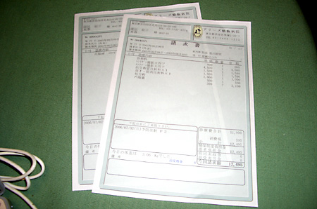 猫, チンチラ・ゴールデン, 来夢, 来喜