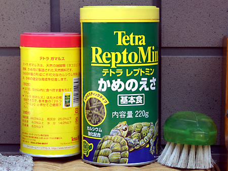 猫、チンチラ・来夢、来喜、ミドリガメ・マックス、コロタン