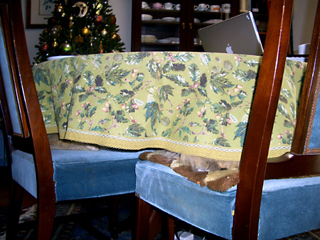 猫、チンチラ・来夢、来喜、ミドリガメ・マックス、コロタン