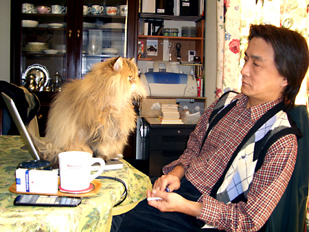 猫、チンチラ・来夢、来喜、ミドリガメ・マックス、コロタン