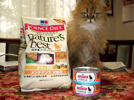 猫、チンチラ・来夢、来喜、ミドリガメ・マックス、コロタン