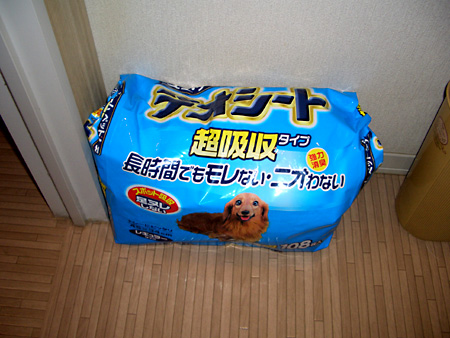 猫、チンチラ・来夢、来喜、ミドリガメ・マックス、コロタン