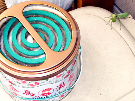 猫、チンチラ・来夢、来喜、ミドリガメ・マックス、コロタン