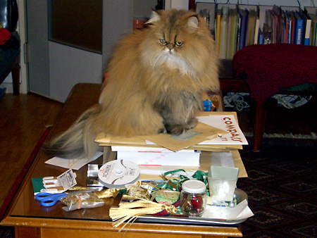 猫、チンチラ・来夢、来喜、ミドリガメ・マックス、コロタン