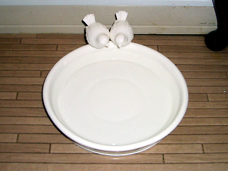 猫、チンチラ・来夢、来喜、ミドリガメ・マックス、コロタン