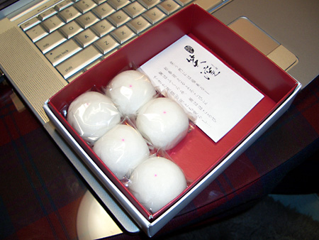 猫、チンチラ・来夢、来喜、ミドリガメ・マックス、コロタン