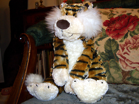 猫、チンチラ・来夢、来喜、ミドリガメ・マックス、コロタン