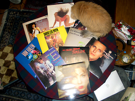 猫、チンチラ・来夢、来喜、ミドリガメ・マックス、コロタン