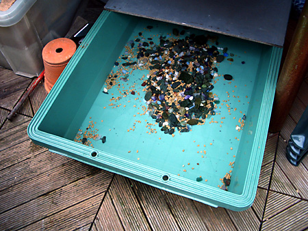 猫、チンチラ・来夢、来喜、ミドリガメ・マックス、コロタン