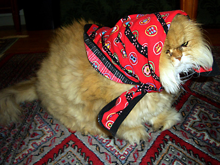 猫、チンチラ・来夢、来喜、ミドリガメ・マックス、コロタン