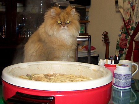 猫、チンチラ・来夢、来喜、ミドリガメ・マックス、コロタン