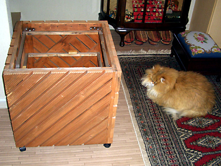 猫、チンチラ・来夢、来喜、ミドリガメ・マックス、コロタン