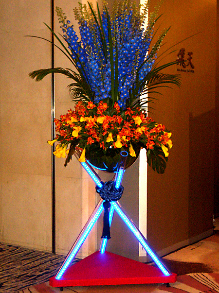 猫, チンチラ・ゴールデン, 来夢, 来喜