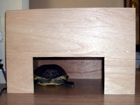 猫、チンチラ・来夢、来喜、ミドリガメ・マックス、コロタン