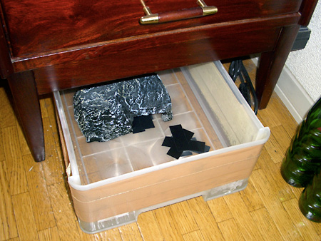 猫、チンチラ・来夢、来喜、ミドリガメ・マックス、コロタン