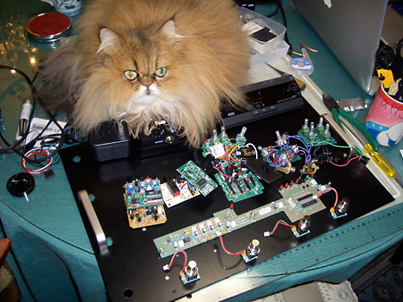 猫、チンチラ・来夢、来喜、ミドリガメ・マックス、コロタン