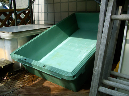 猫、チンチラ・来夢、来喜、ミドリガメ・マックス、コロタン