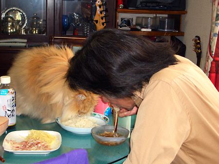 猫、チンチラ・来夢、来喜、ミドリガメ・マックス、コロタン