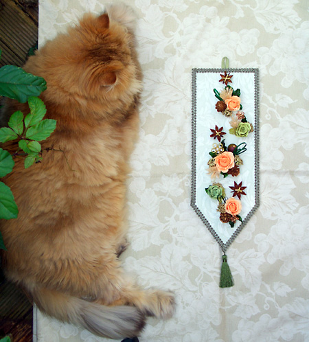 猫, チンチラ・ゴールデン, 来夢, 来喜