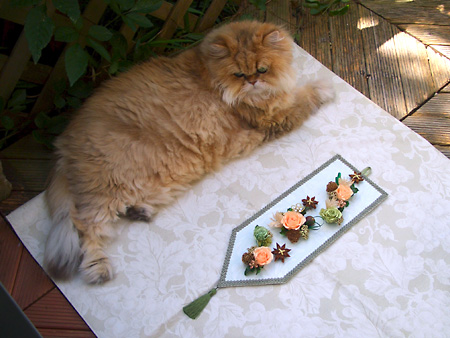 猫、チンチラ・来夢、来喜、ミドリガメ・マックス、コロタン