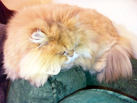 日々雑感 - DoromPATIO