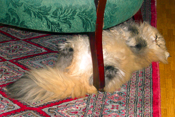 日々雑感 - DoromPATIO