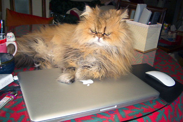 日々雑感 - DoromPATIO