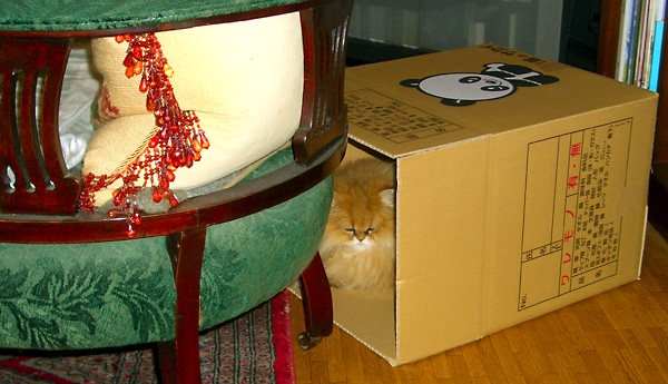 日々雑感 - DoromPATIO