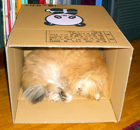 日々雑感 - DoromPATIO