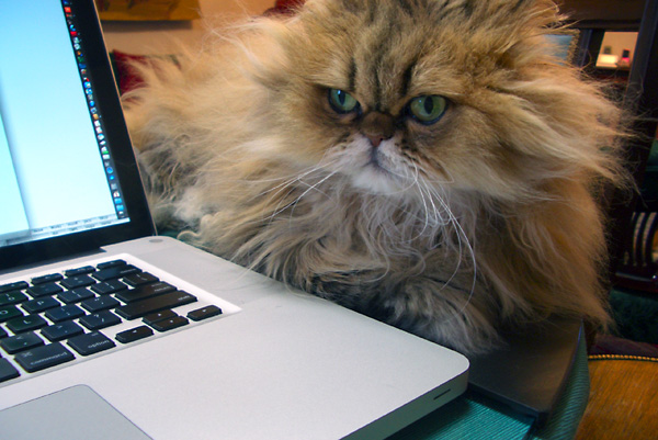 日々雑感 - DoromPATIO