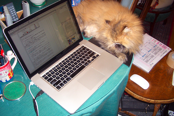 日々雑感 - DoromPATIO