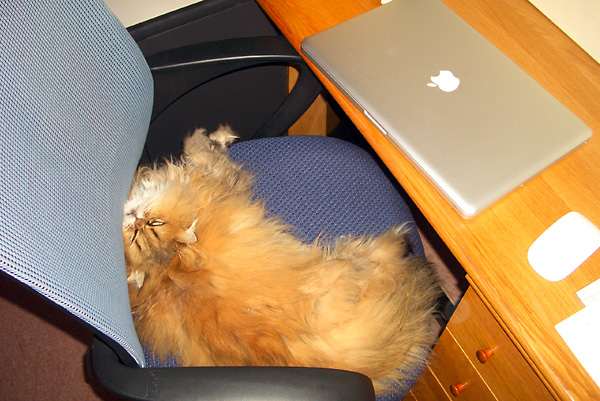 日々雑感 - DoromPATIO