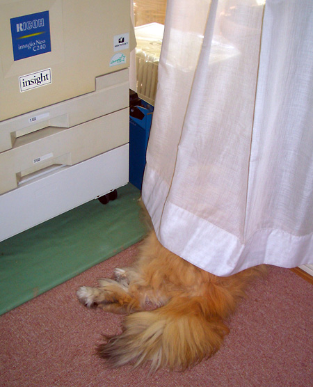 日々雑感 - DoromPATIO