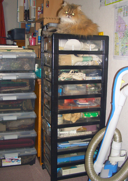 日々雑感 - DoromPATIO