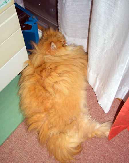 日々雑感 - DoromPATIO