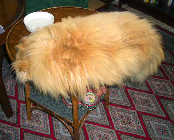 日々雑感 - DoromPATIO