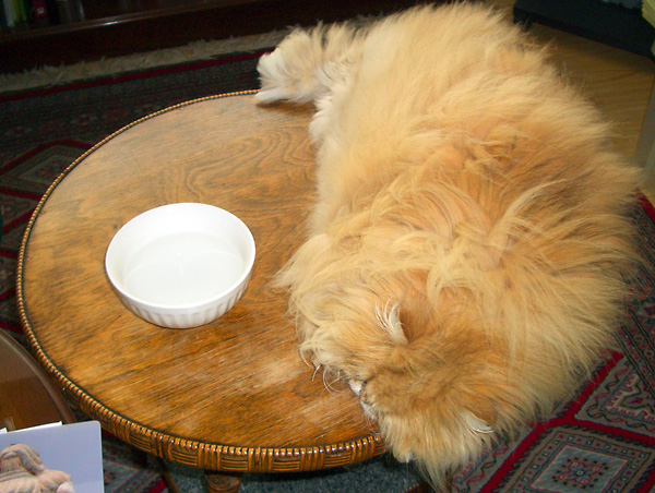 日々雑感 - DoromPATIO