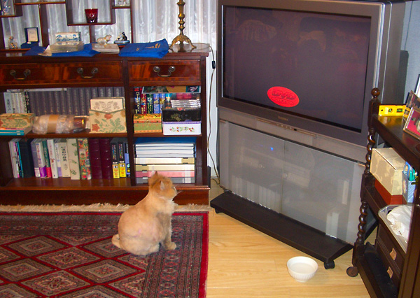 日々雑感 - DoromPATIO