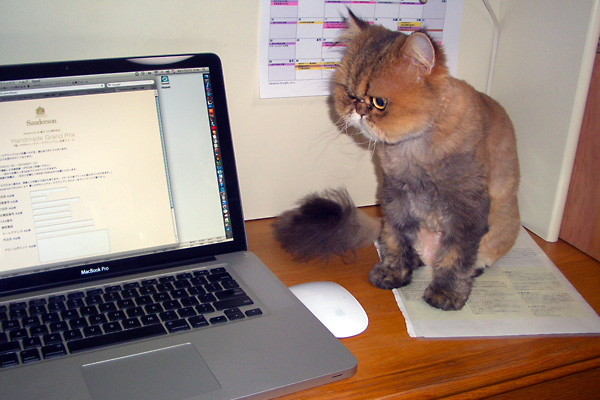 日々雑感 - DoromPATIO