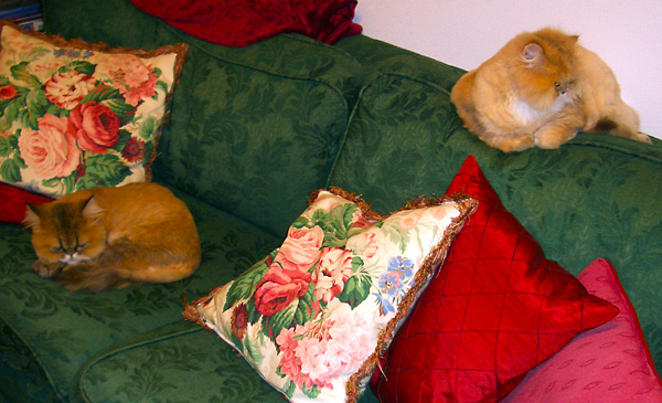 日々雑感 - DoromPATIO